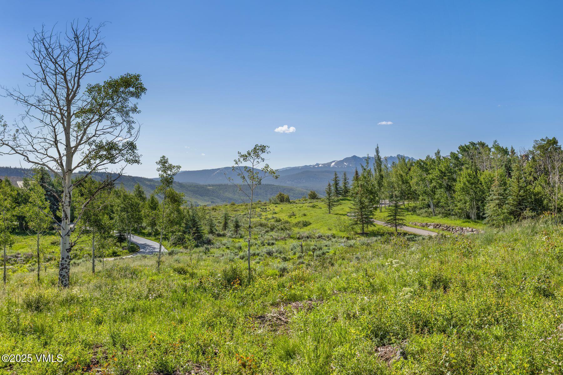 713 Webb Peak Property Photo 22