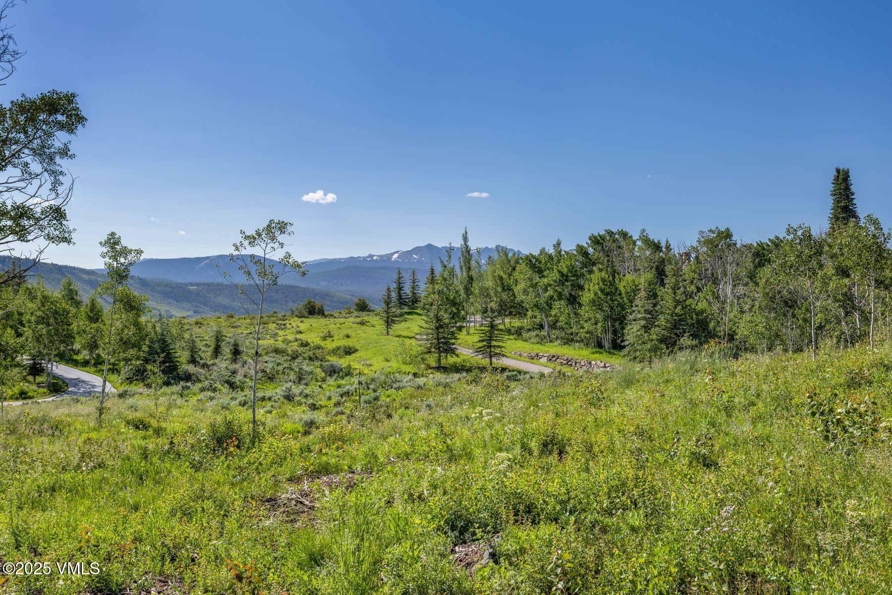713 Webb Peak Property Photo 23