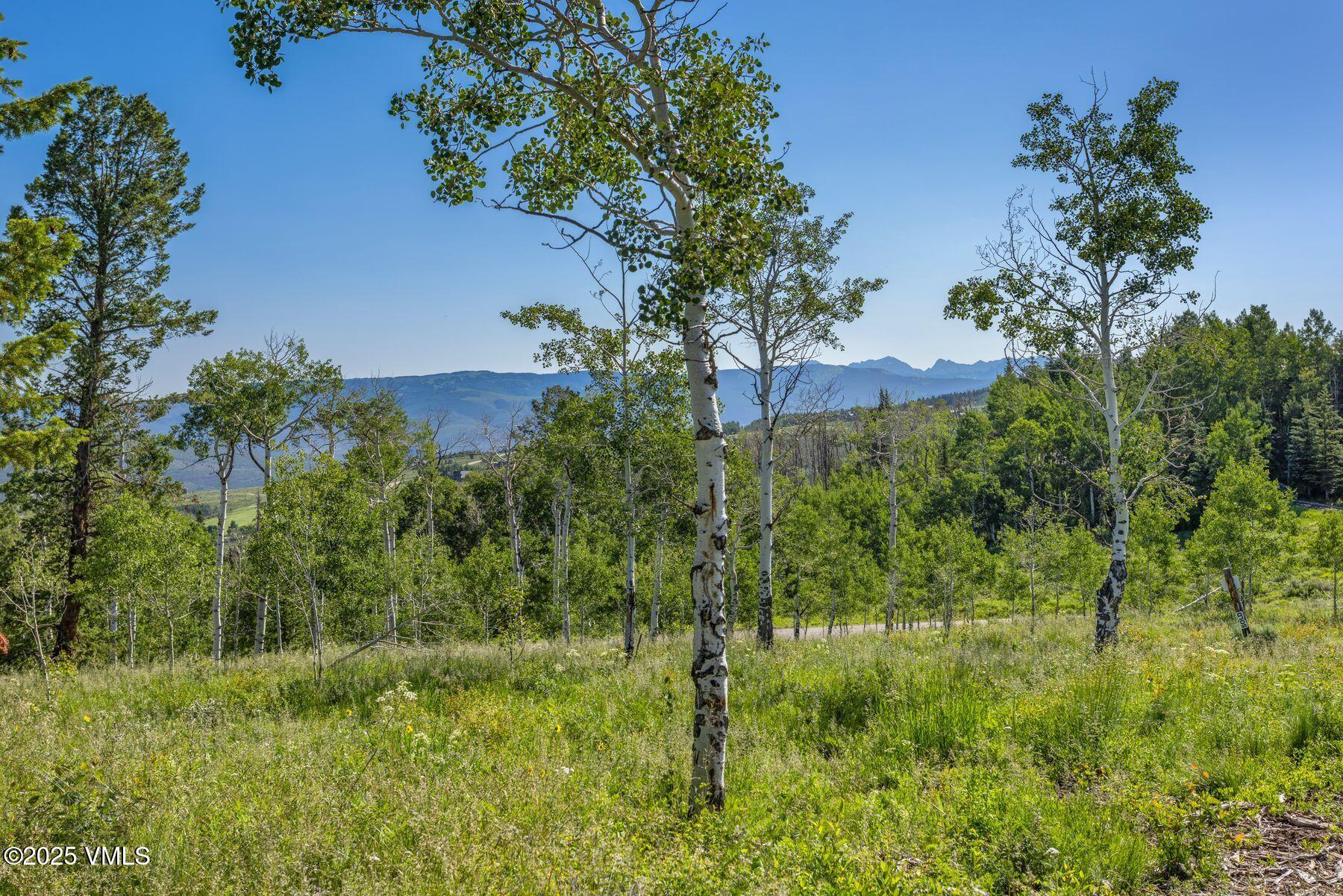 713 Webb Peak Property Photo 24