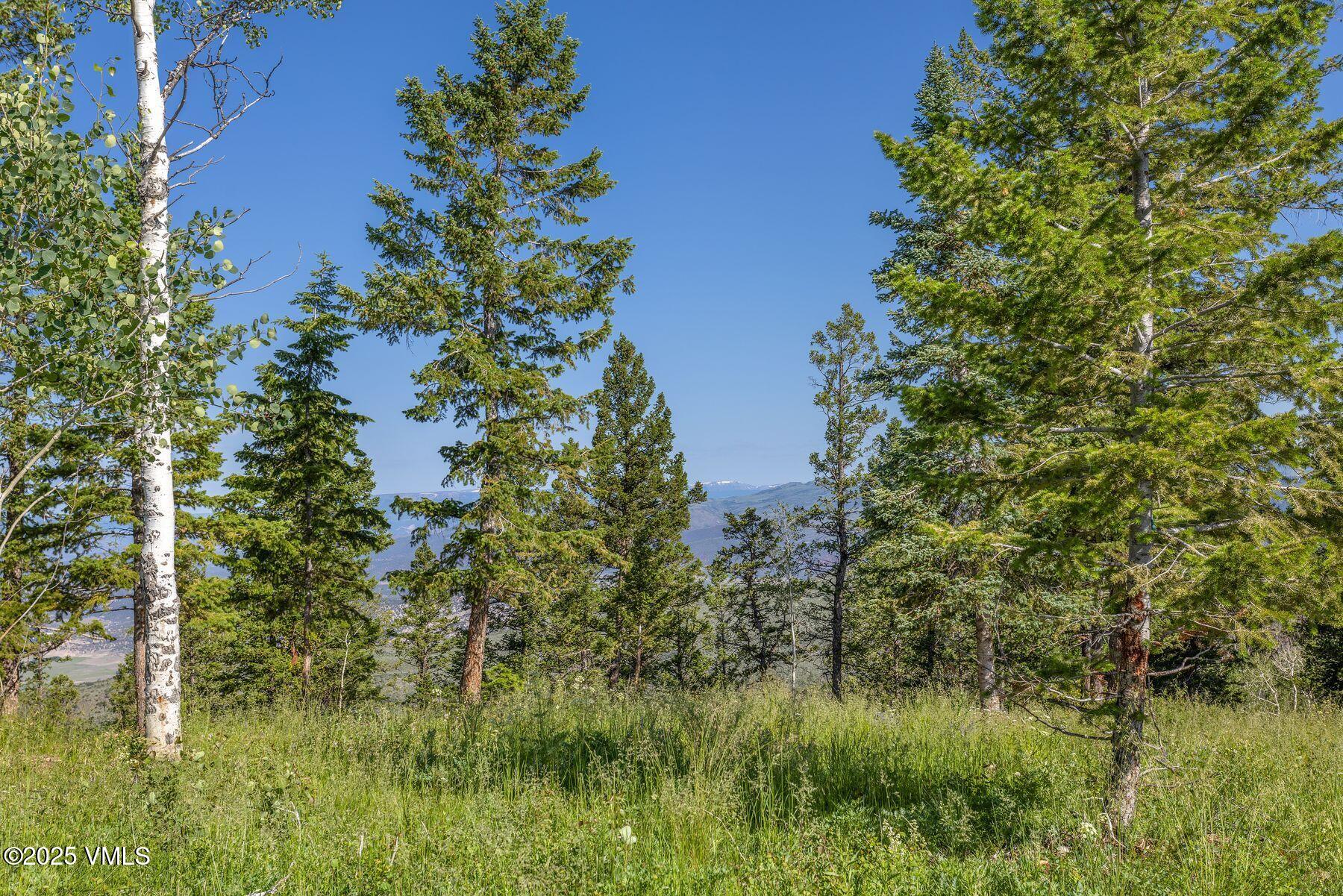 713 Webb Peak Property Photo 25