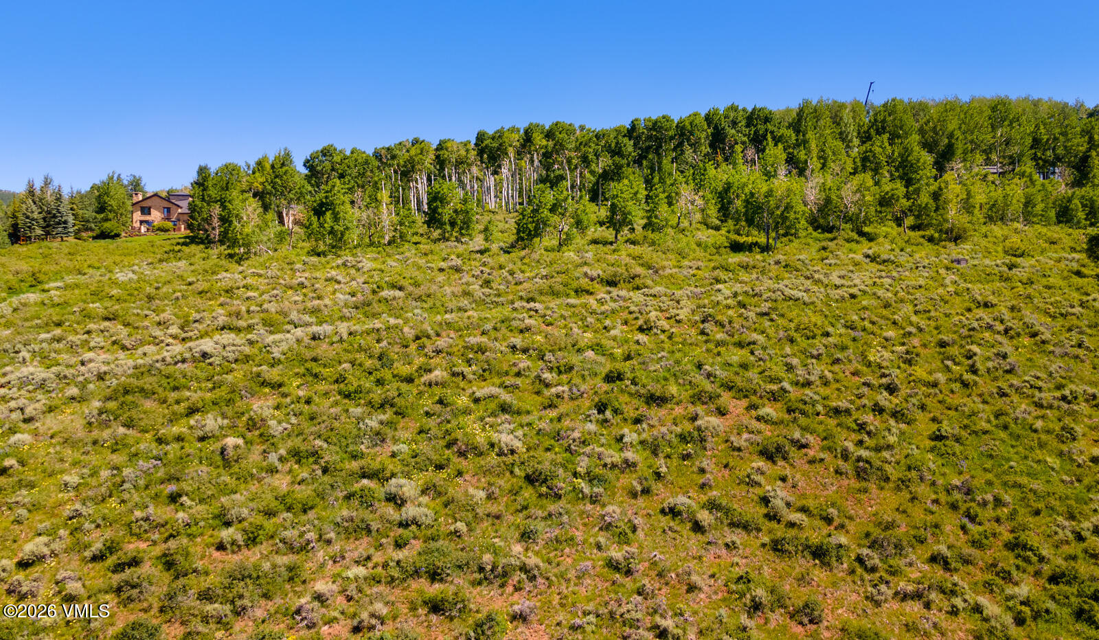 114 Goldenrod Property Photo 17