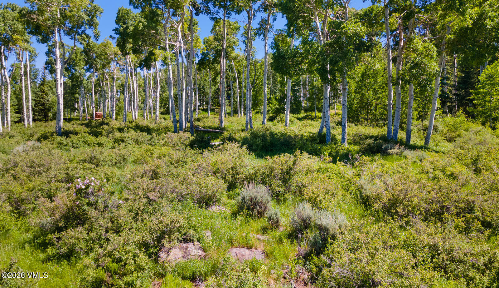 114 Goldenrod Property Photo 18