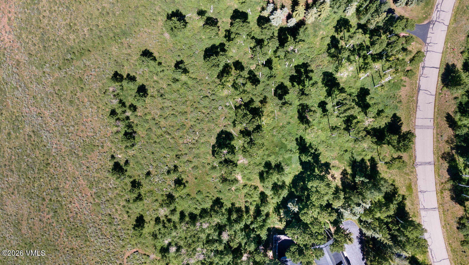 114 Goldenrod Property Photo 19