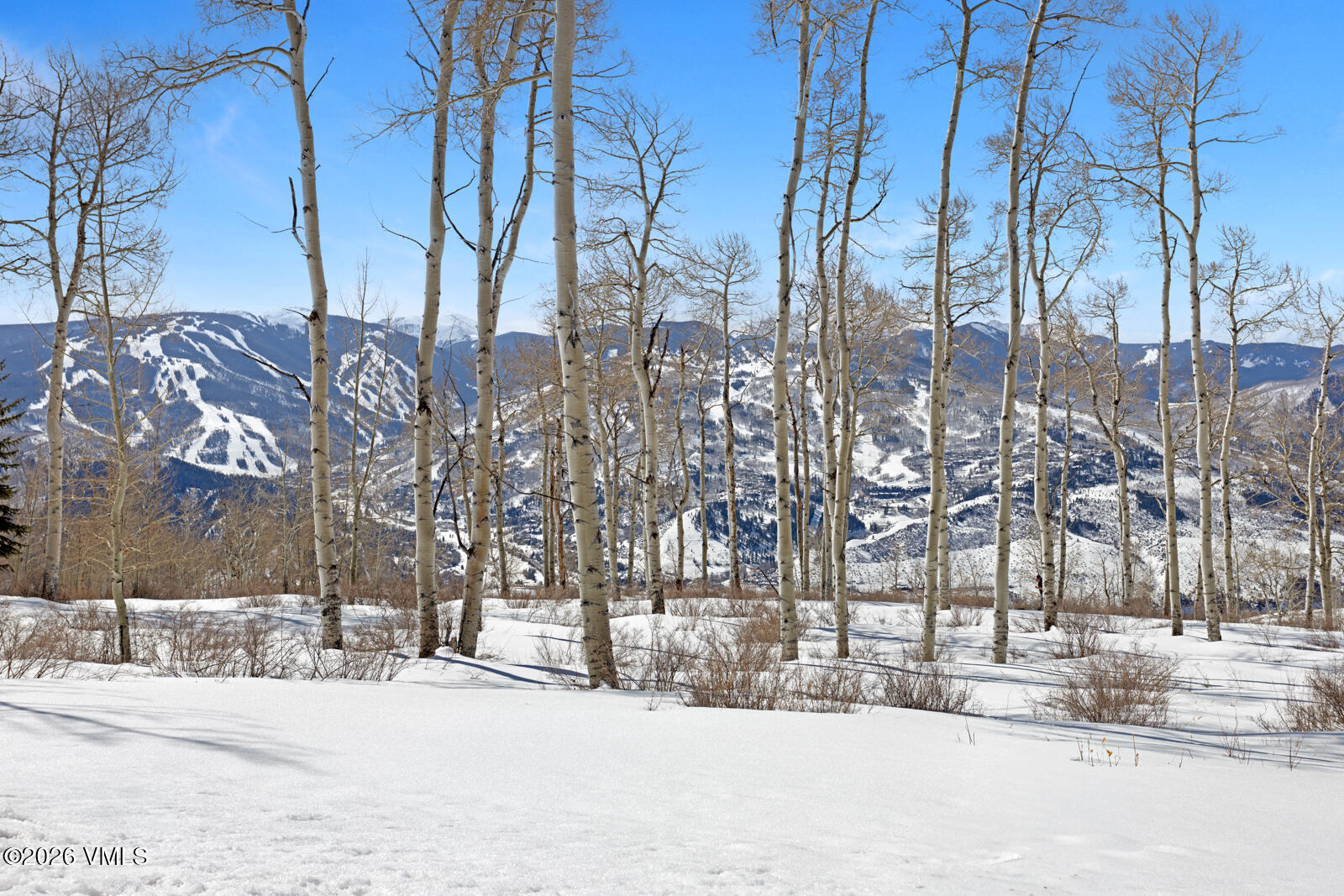 114 Goldenrod Property Photo 24