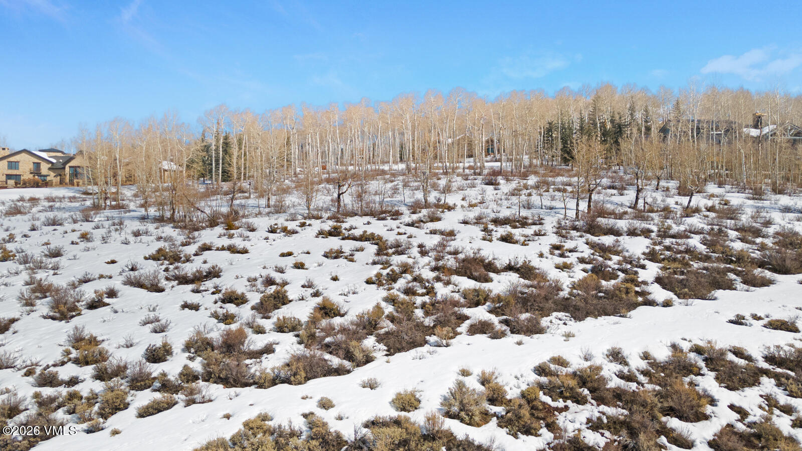 114 Goldenrod Property Photo 33