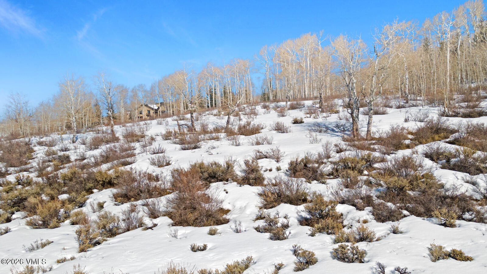 114 Goldenrod Property Photo 35