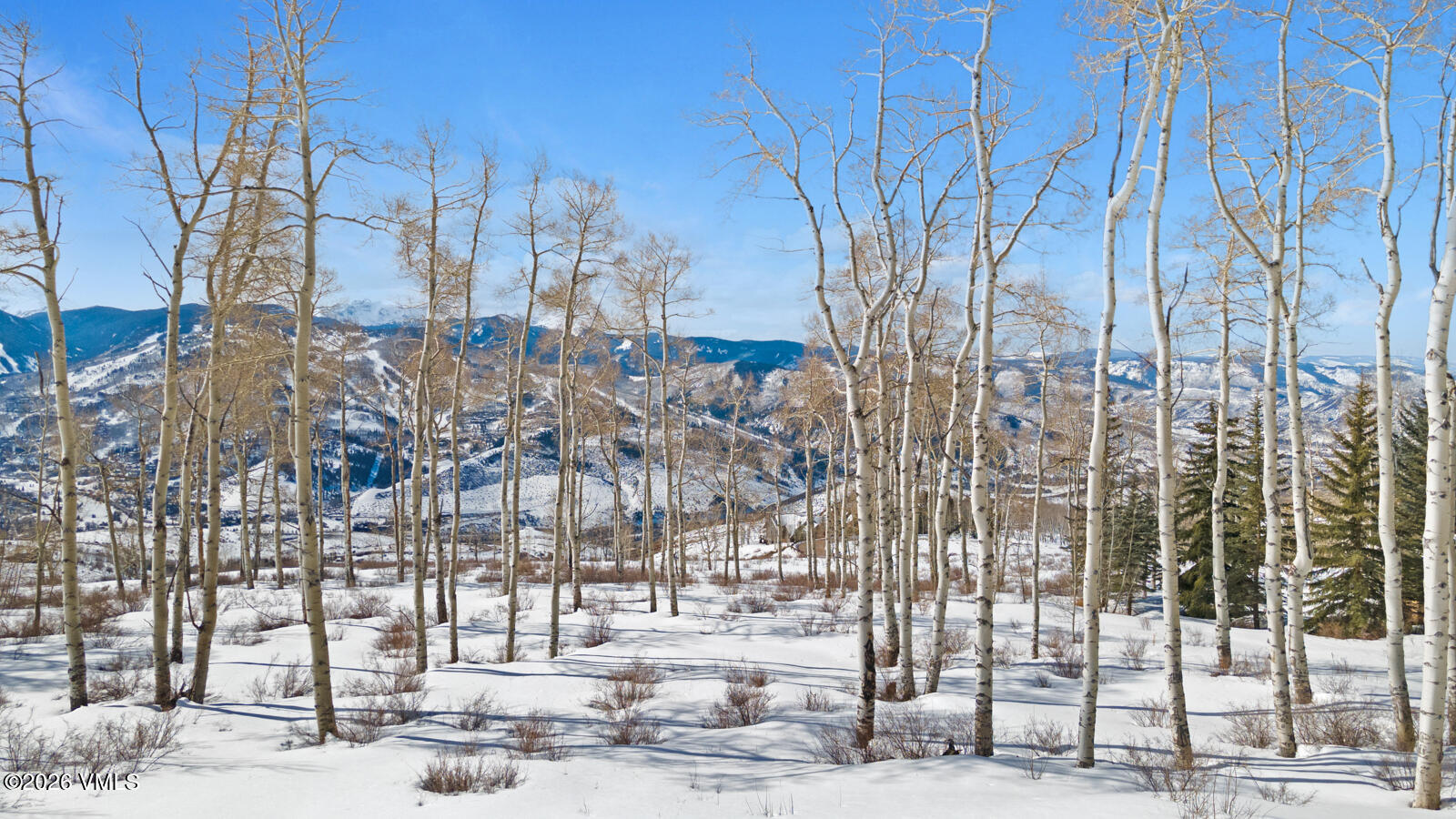 114 Goldenrod Property Photo 36
