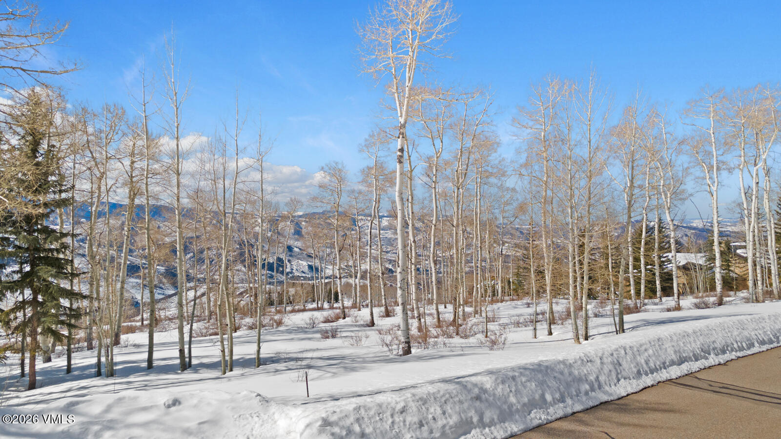 114 Goldenrod Property Photo 37