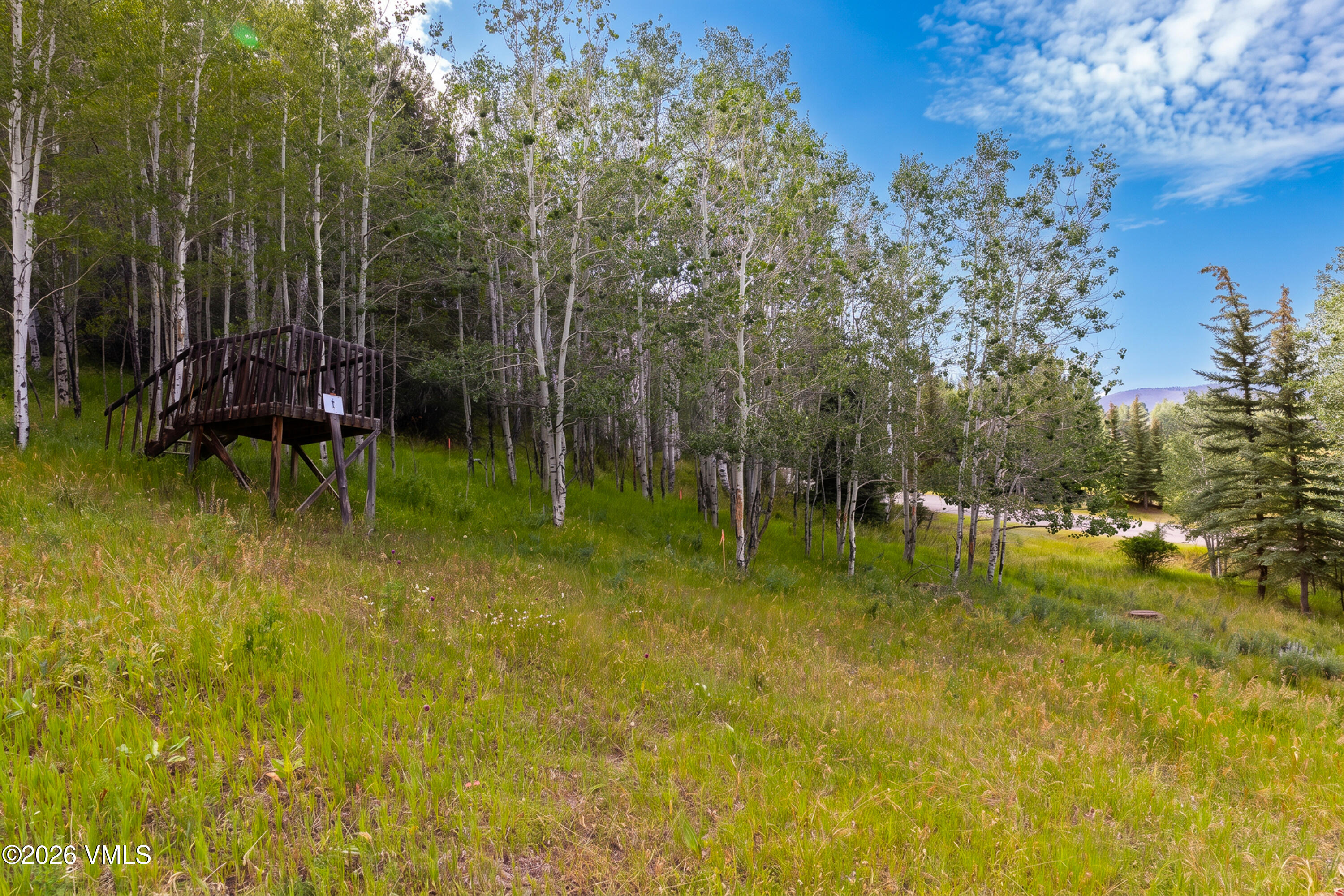 121 Elk Spring Trail Property Photo 18
