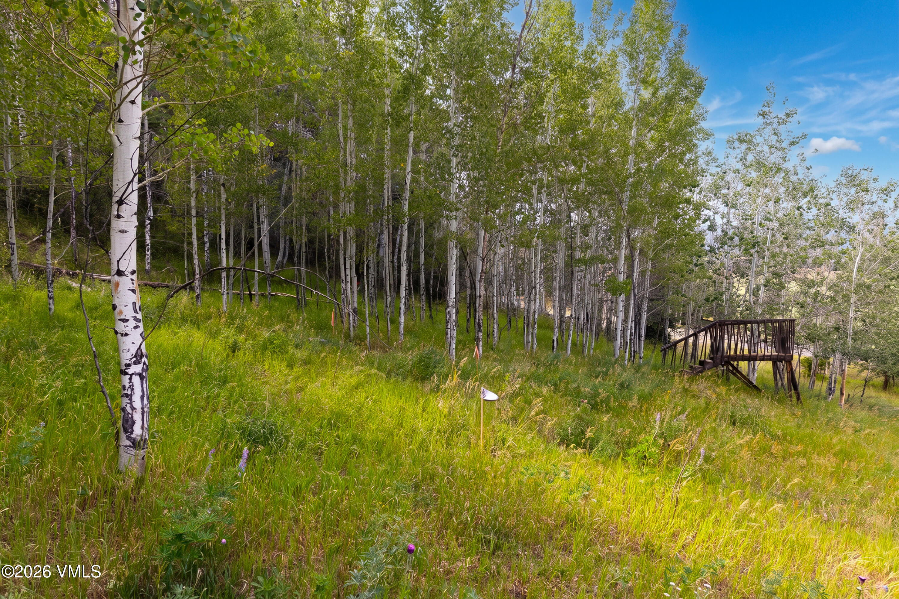 121 Elk Spring Trail Property Photo 20