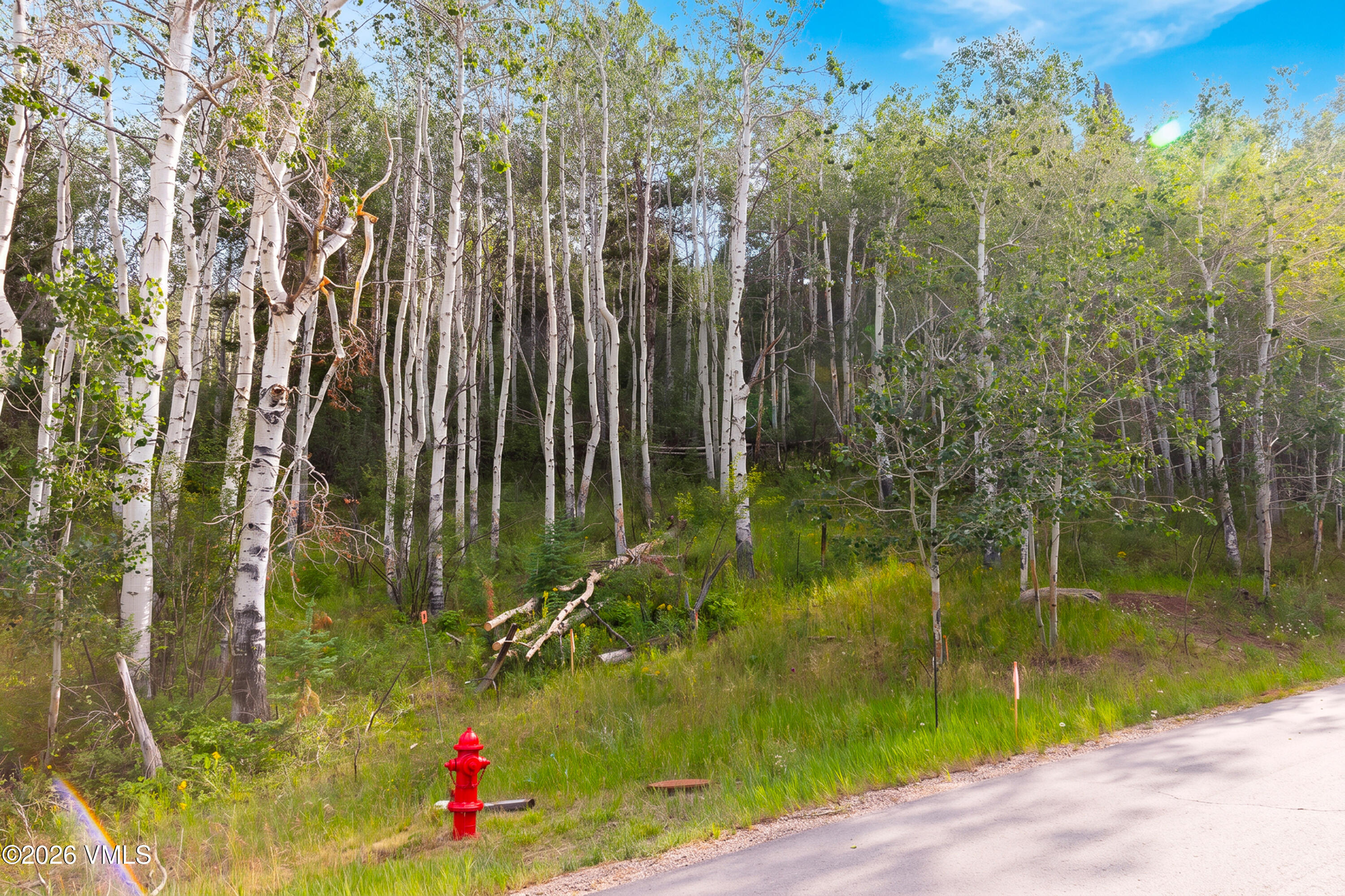 121 Elk Spring Trail Property Photo 23