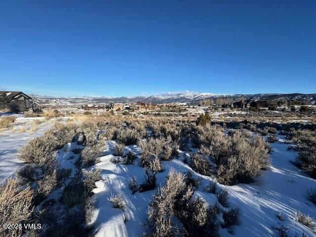 112 Hollyhock Court Property Photo 12