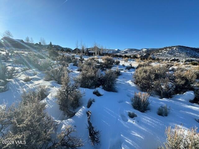112 Hollyhock Court Property Photo 13