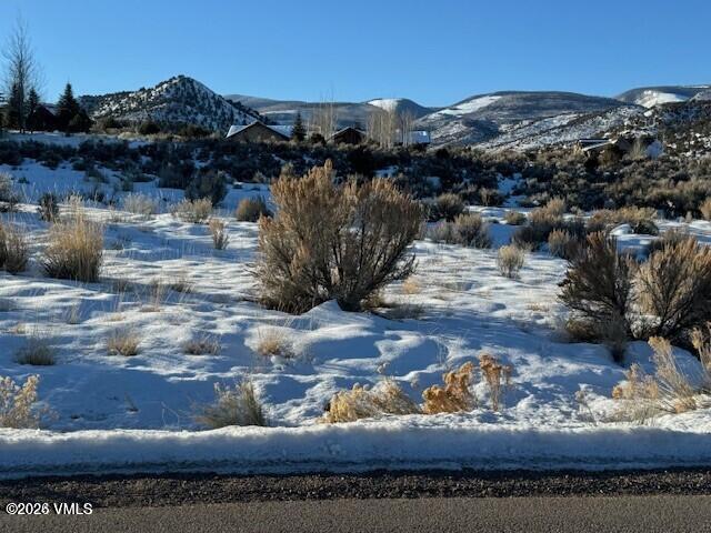 112 Hollyhock Court Property Photo 15
