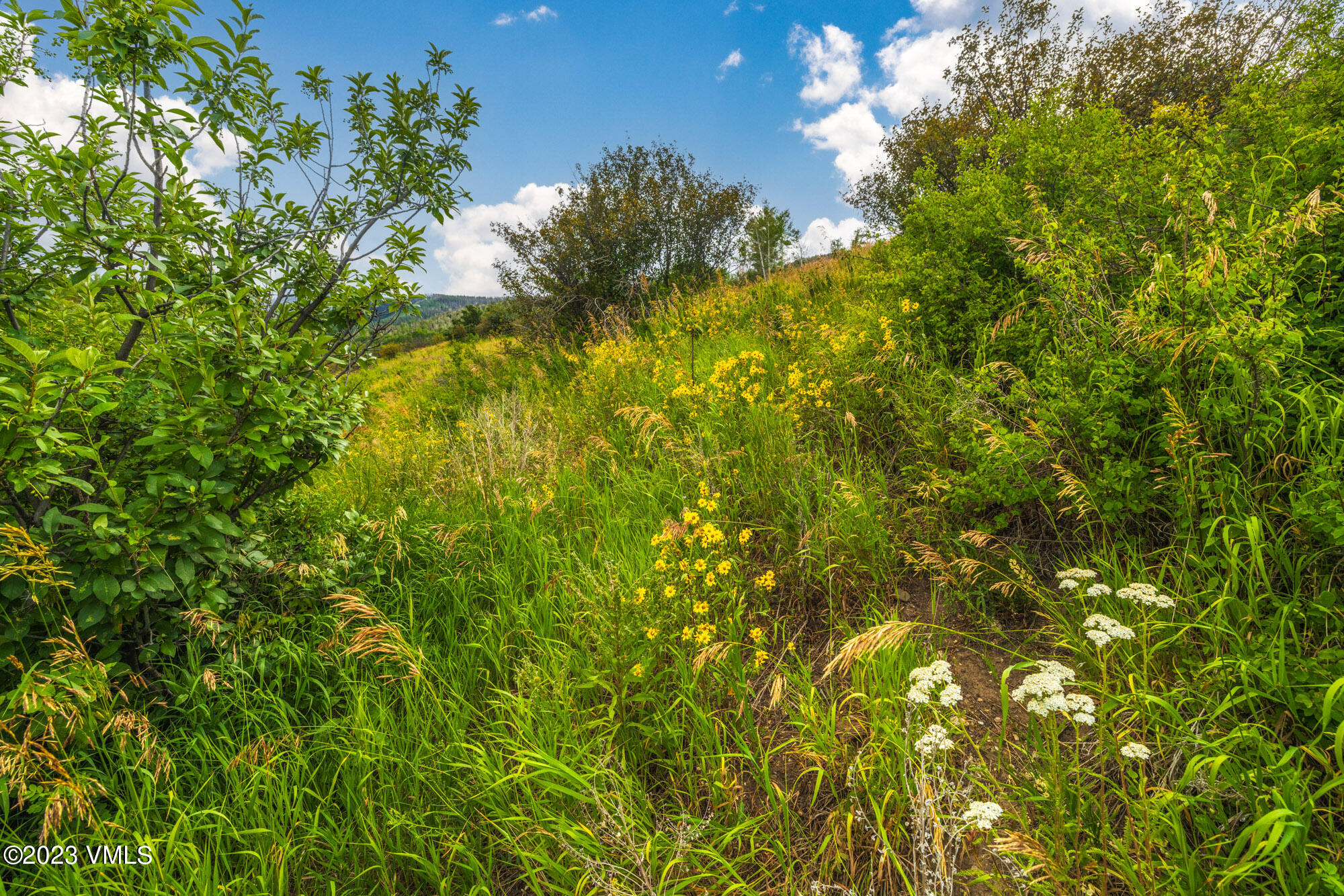 284 Polar Star Road Property Photo 6