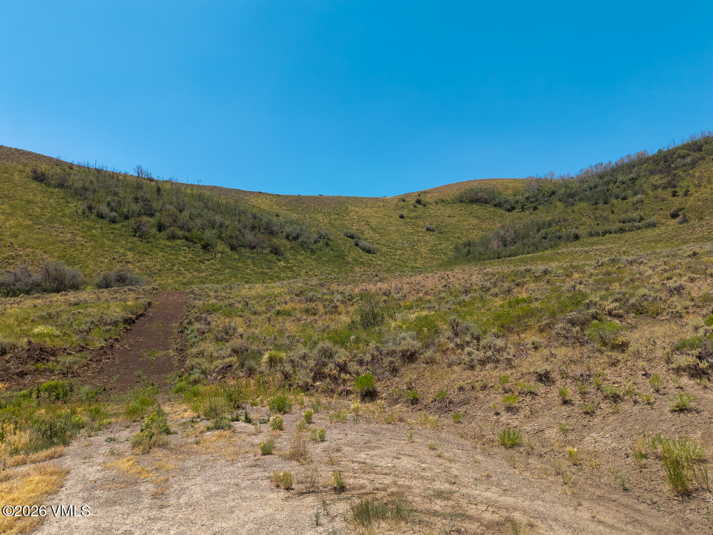 700 Silver Spur Trail Property Photo 12