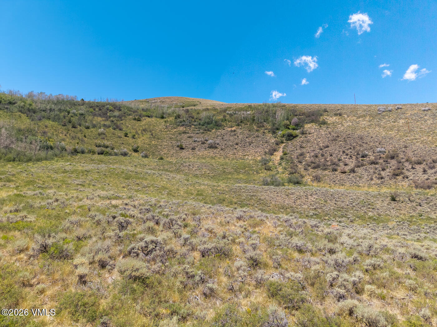 700 Silver Spur Trail Property Photo 13