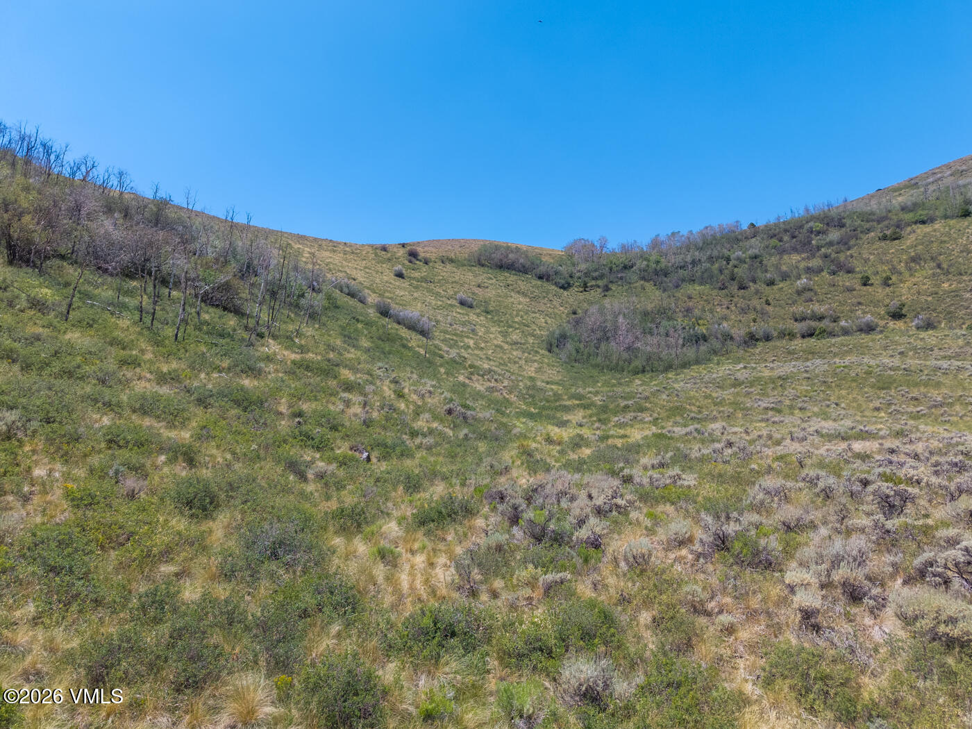 700 Silver Spur Trail Property Photo 14