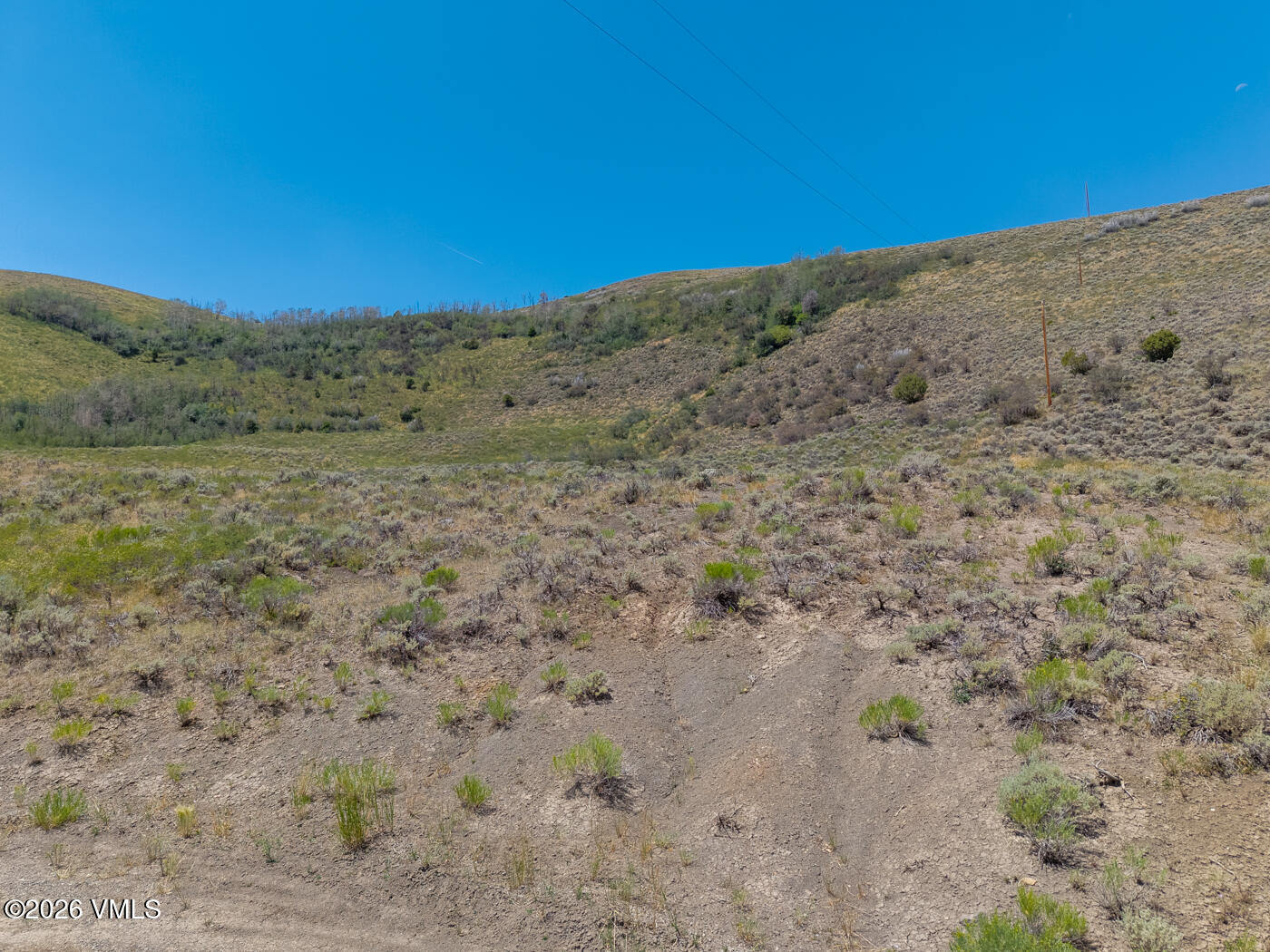 700 Silver Spur Trail Property Photo 15