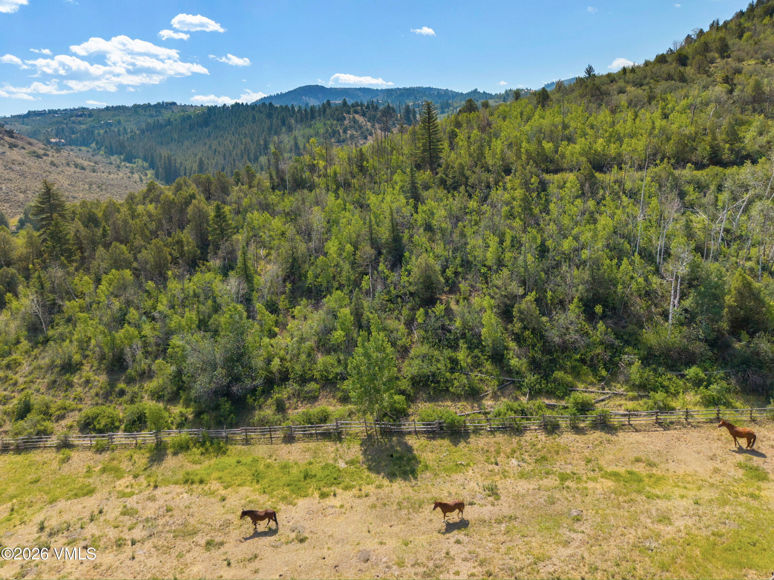 1513 Squaw Creek Road Property Photo 52