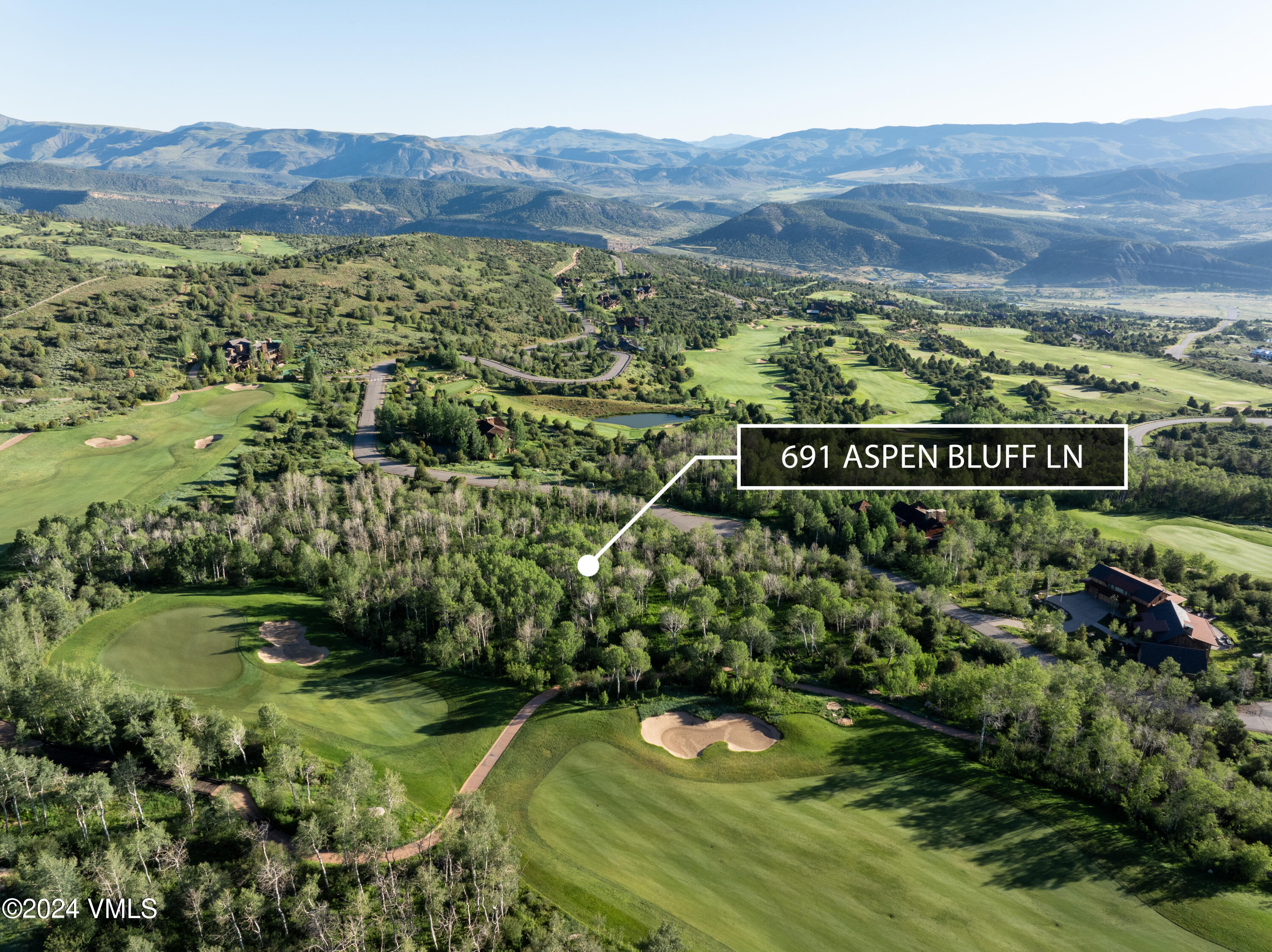 691 Aspen Bluff Lane Property Photo 1
