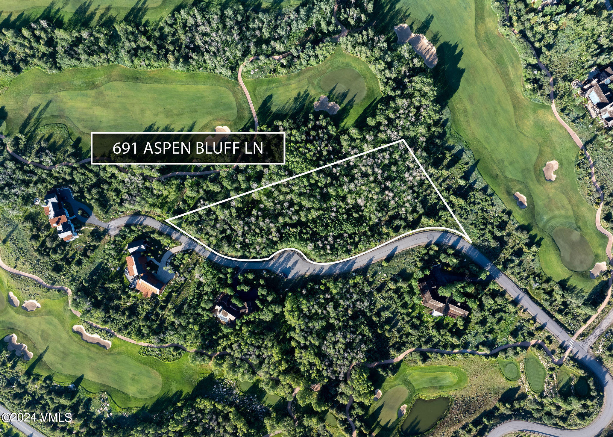 691 Aspen Bluff Lane Property Photo 2