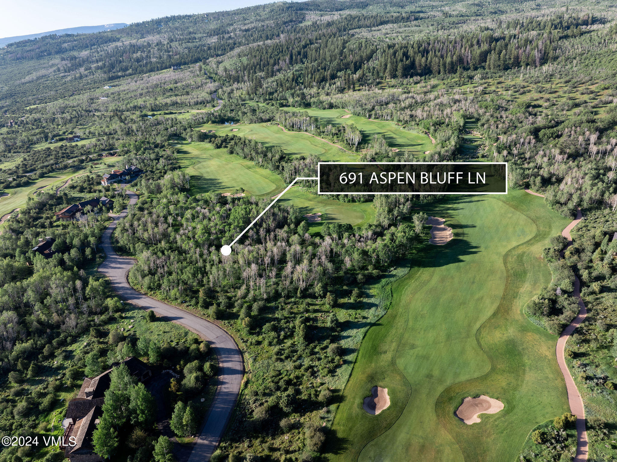 691 Aspen Bluff Lane Property Photo 3