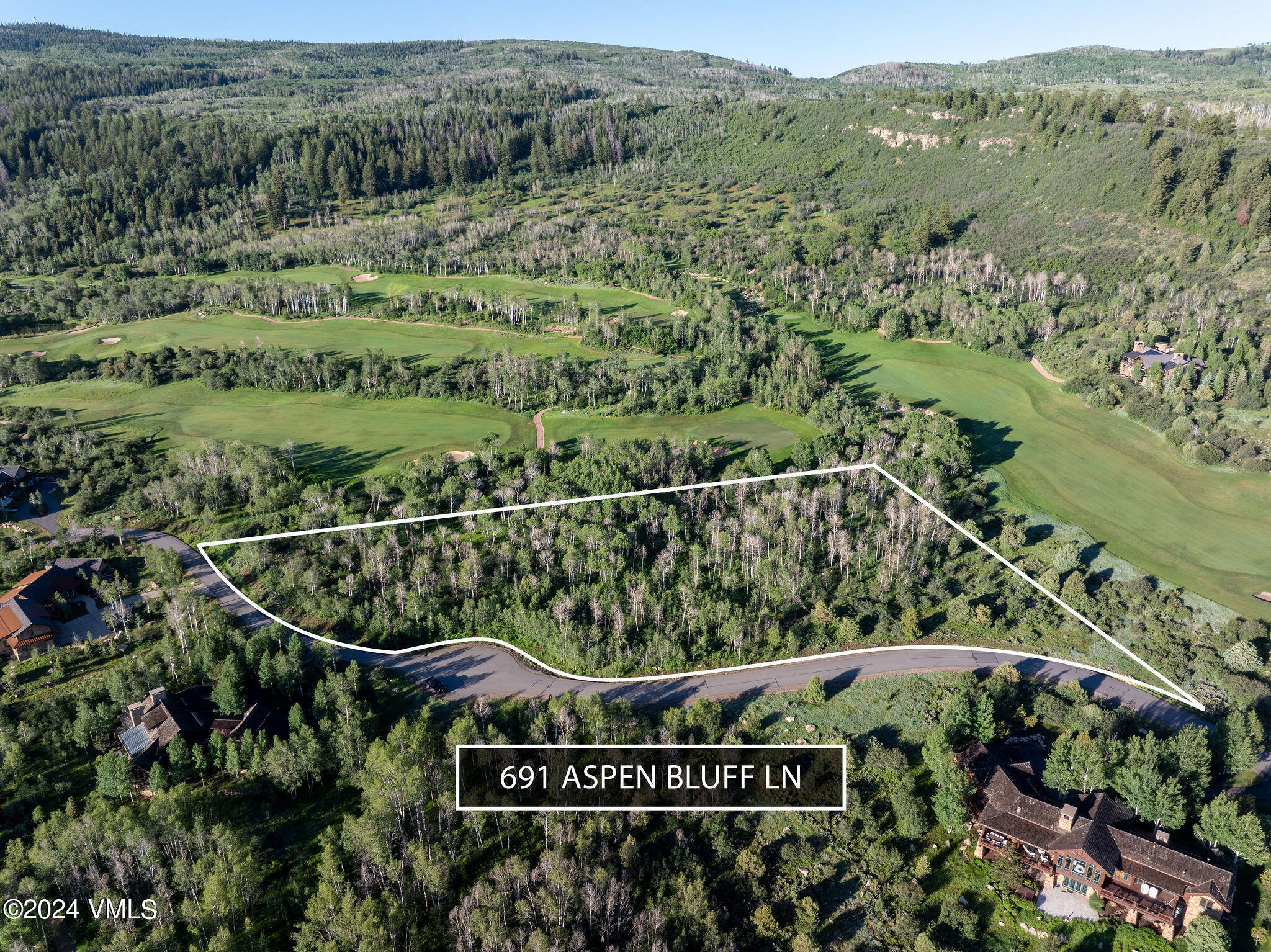 691 Aspen Bluff Lane Property Photo 4