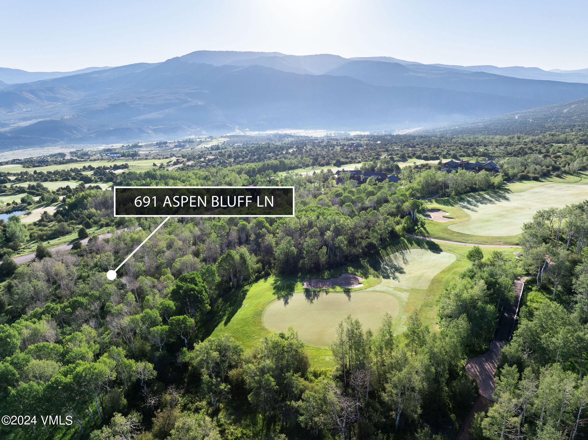 691 Aspen Bluff Lane Property Photo 6