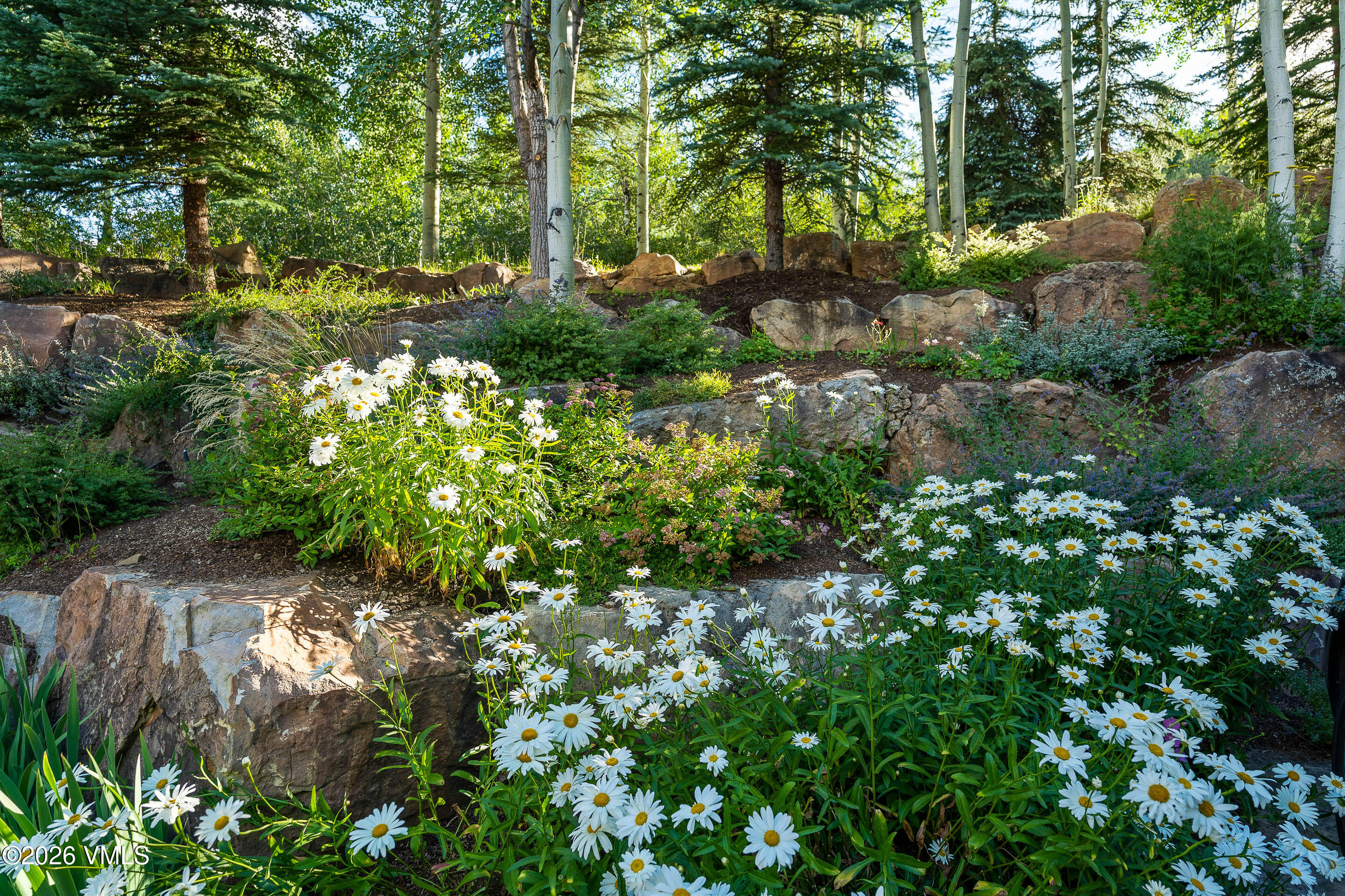 919 Bachelor Ridge Property Photo 57