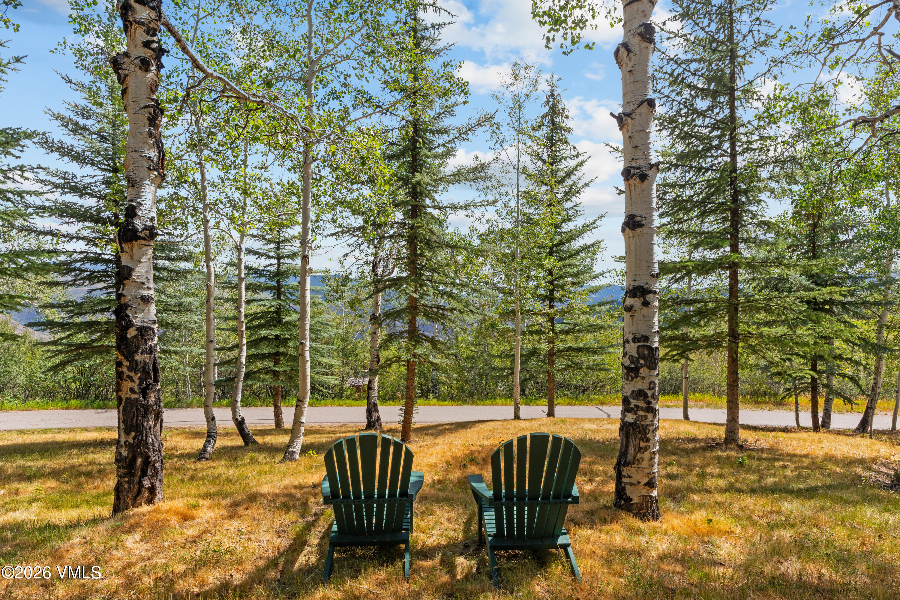 919 Bachelor Ridge Property Photo 68