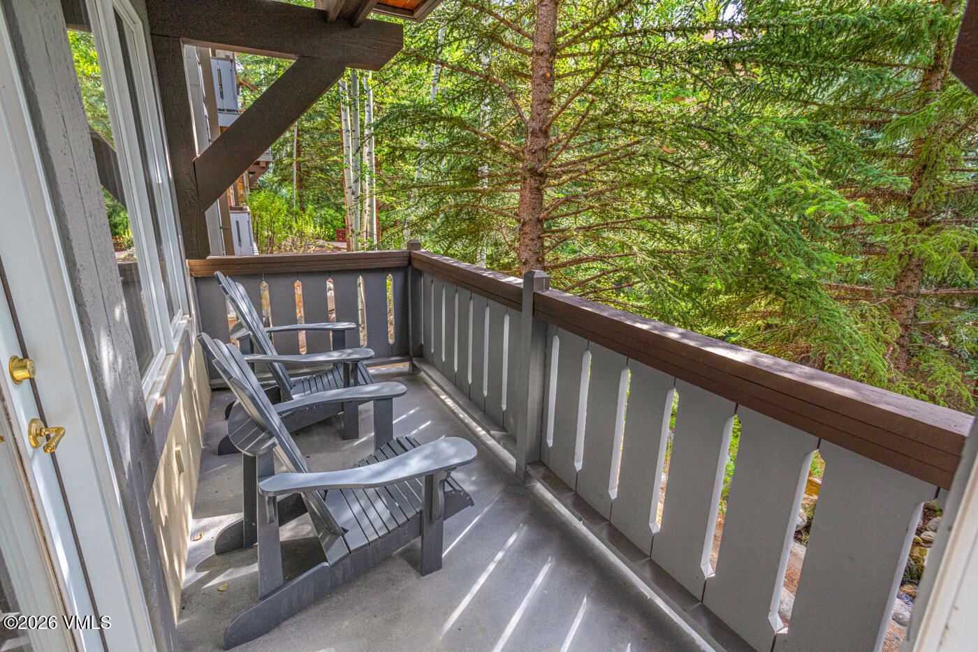 627 Sawatch Drive Property Photo 4