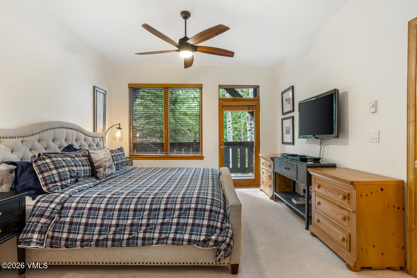 627 Sawatch Drive Property Photo 11