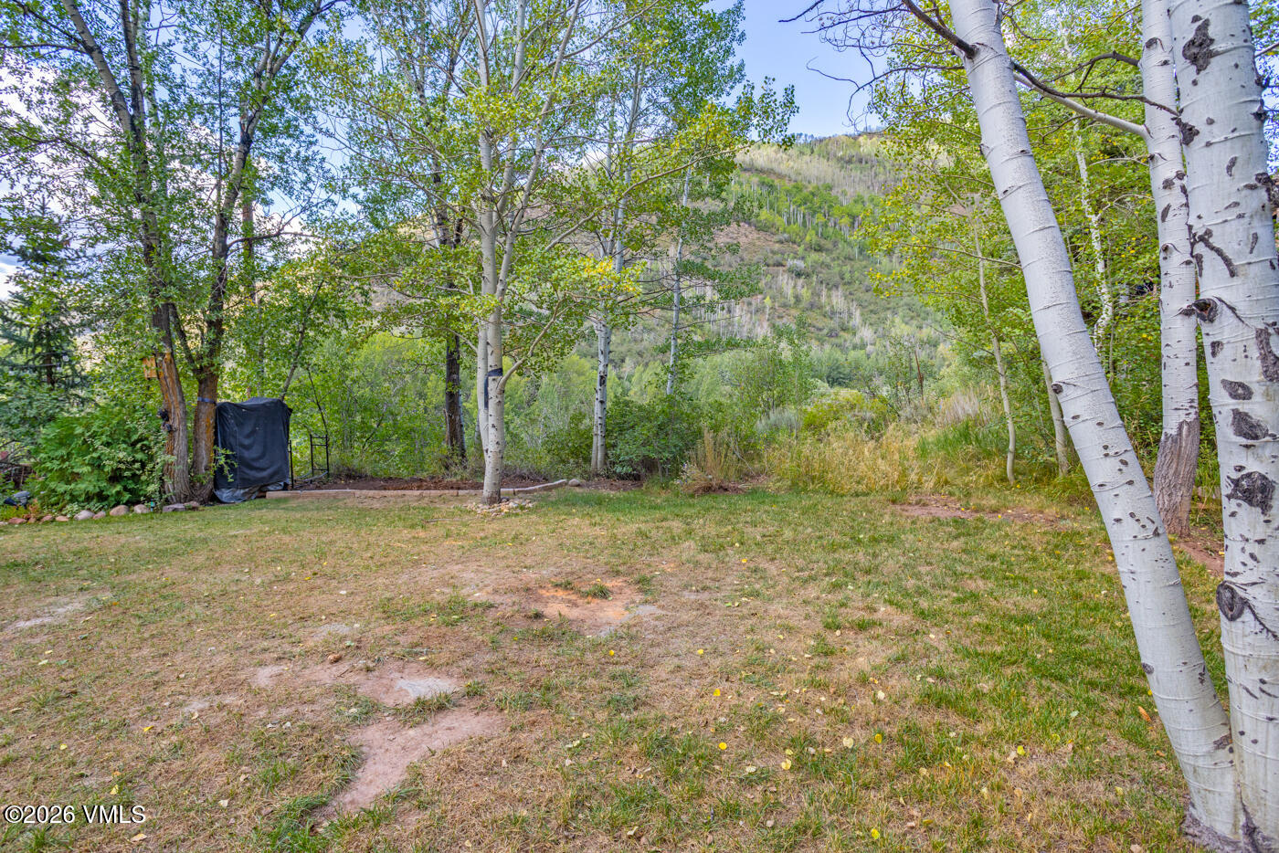 1817 Meadow Ridge Road Unit 4 Property Photo 39
