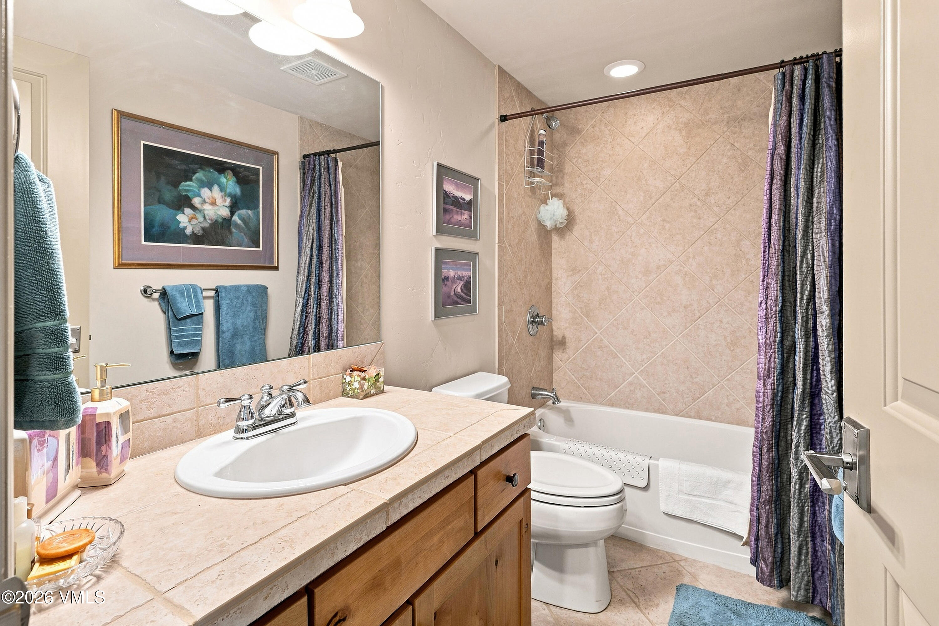 61 Open Sky Circle Property Photo 27