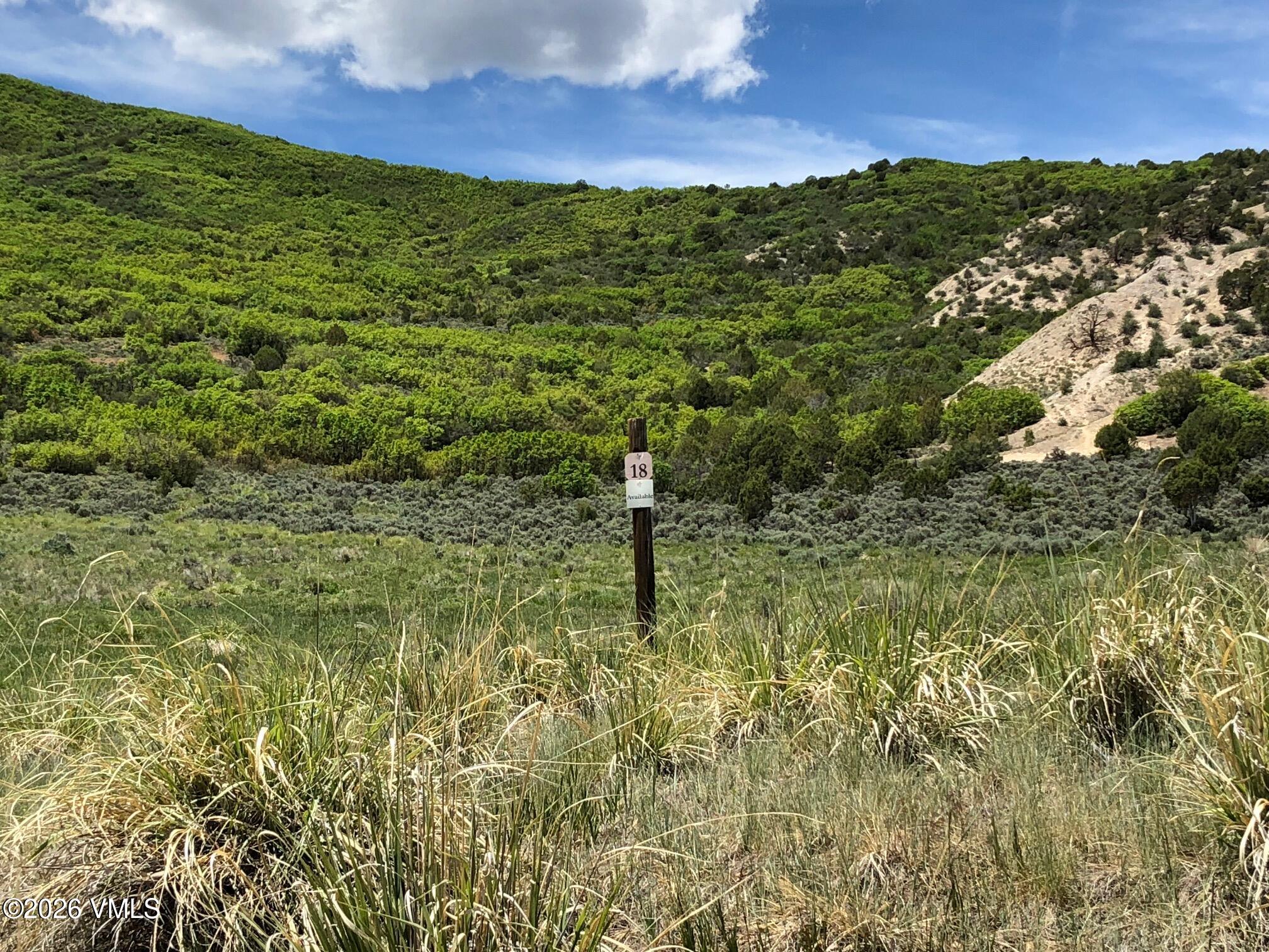 0105 Borah Spur Property Photo 1