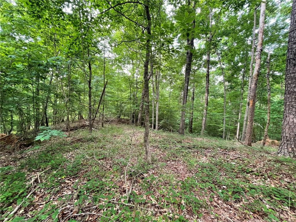 Lot 640 South Sundew Drive Property Photo