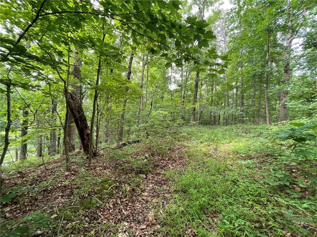 Lot 641 S Sundew Drive Property Photo