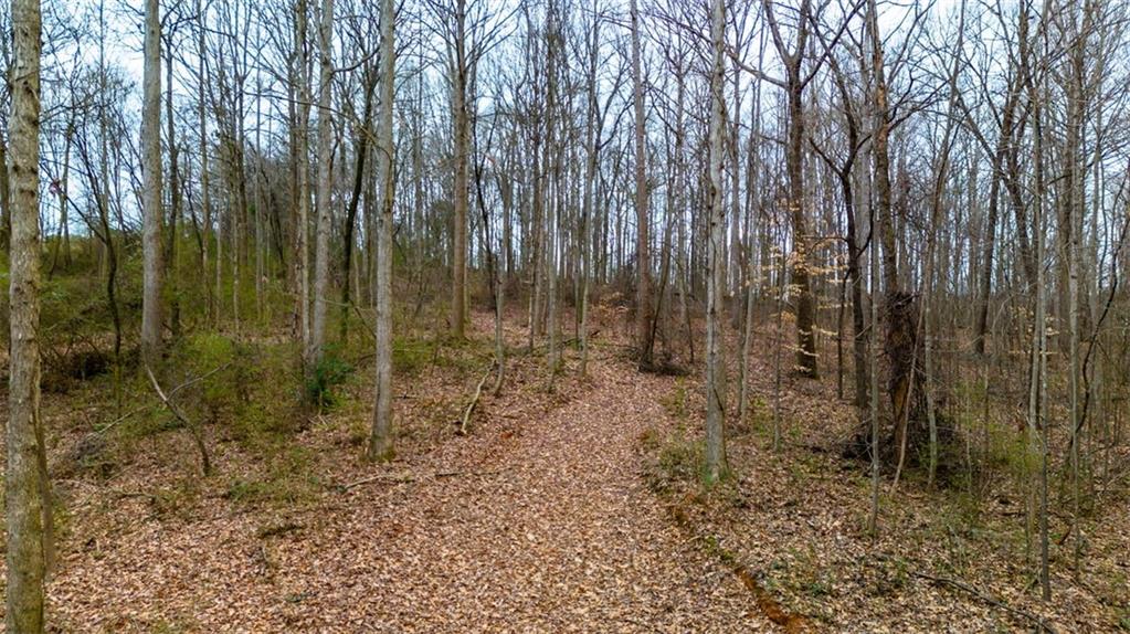 00 Arrowhead Lake Trail Property Photo 10