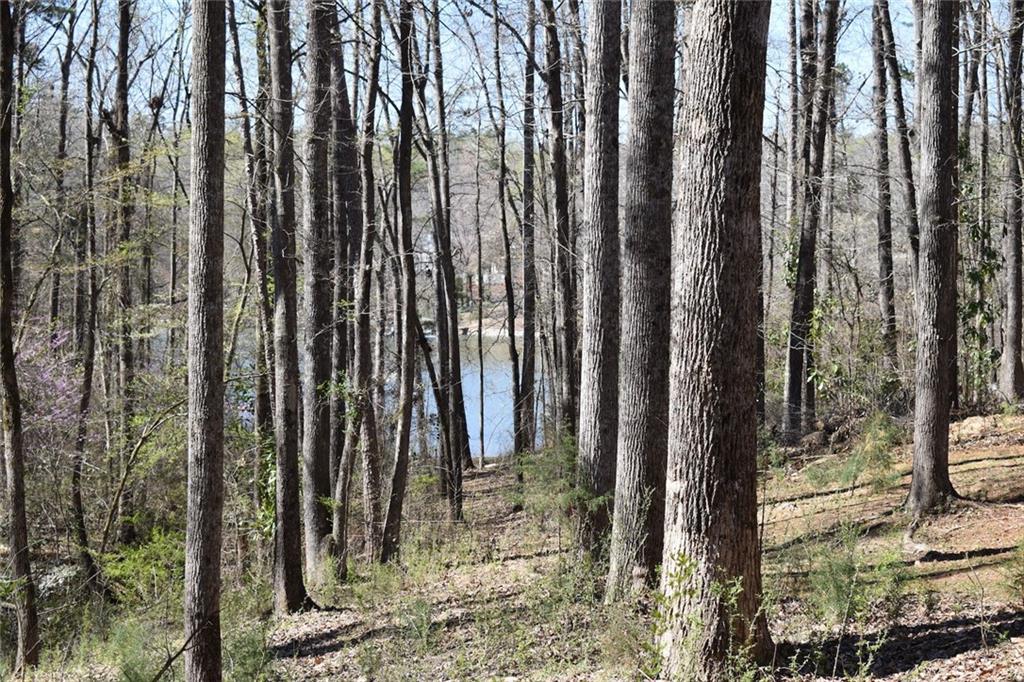 00 Dogwood Lane Lot 10 Property Photo 1