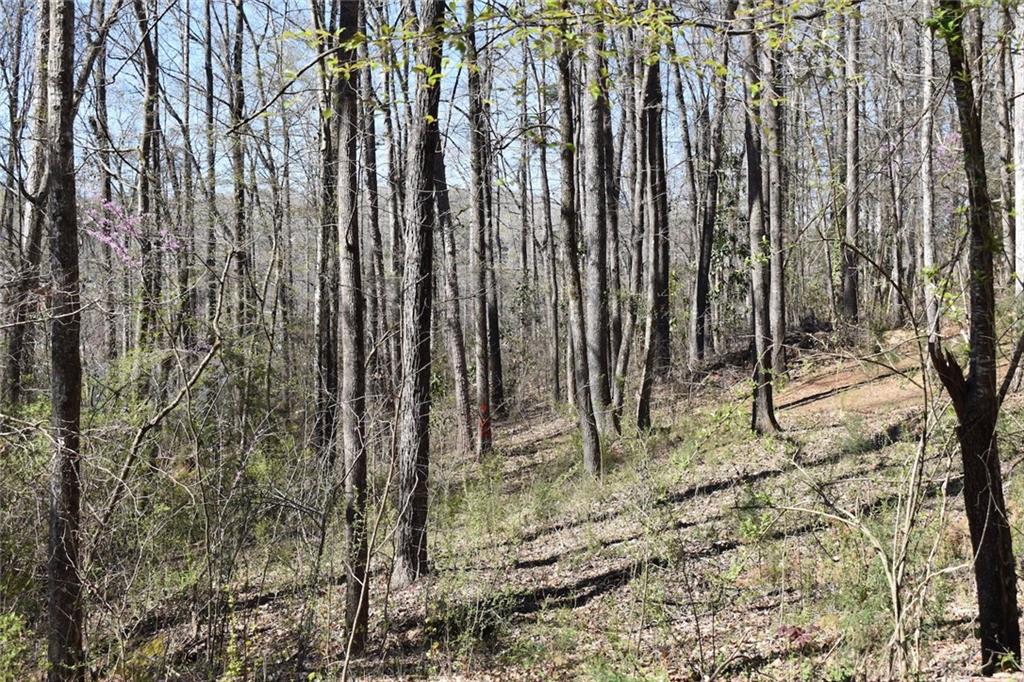 00 Dogwood Lane Lot 10 Property Photo 2