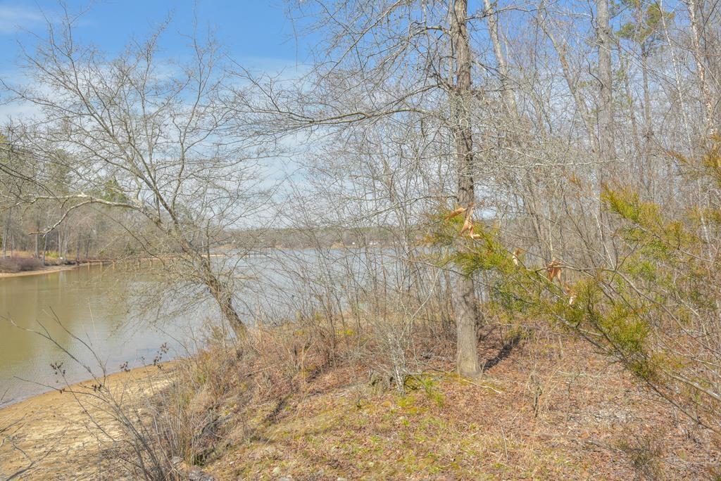 928 Eagles Harbor Drive Property Photo