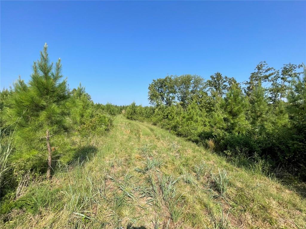 0 Sulphur Springs Road Property Photo