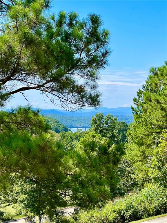 39 Lookout Point Property Photo 3