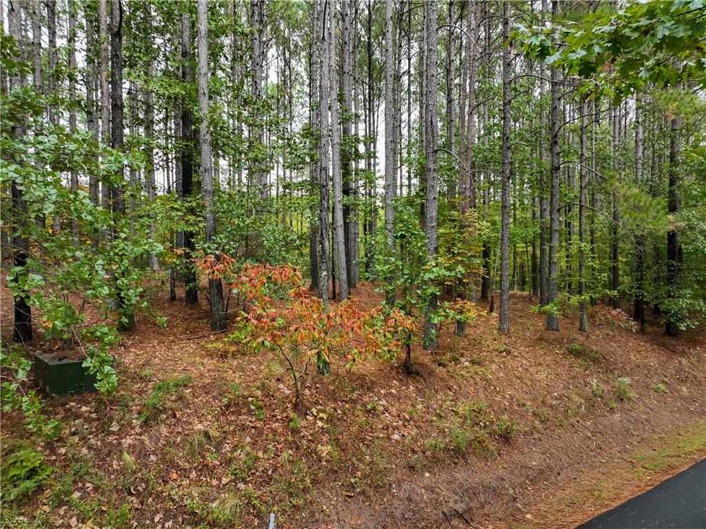 204 S Point Boulevard Property Photo 1
