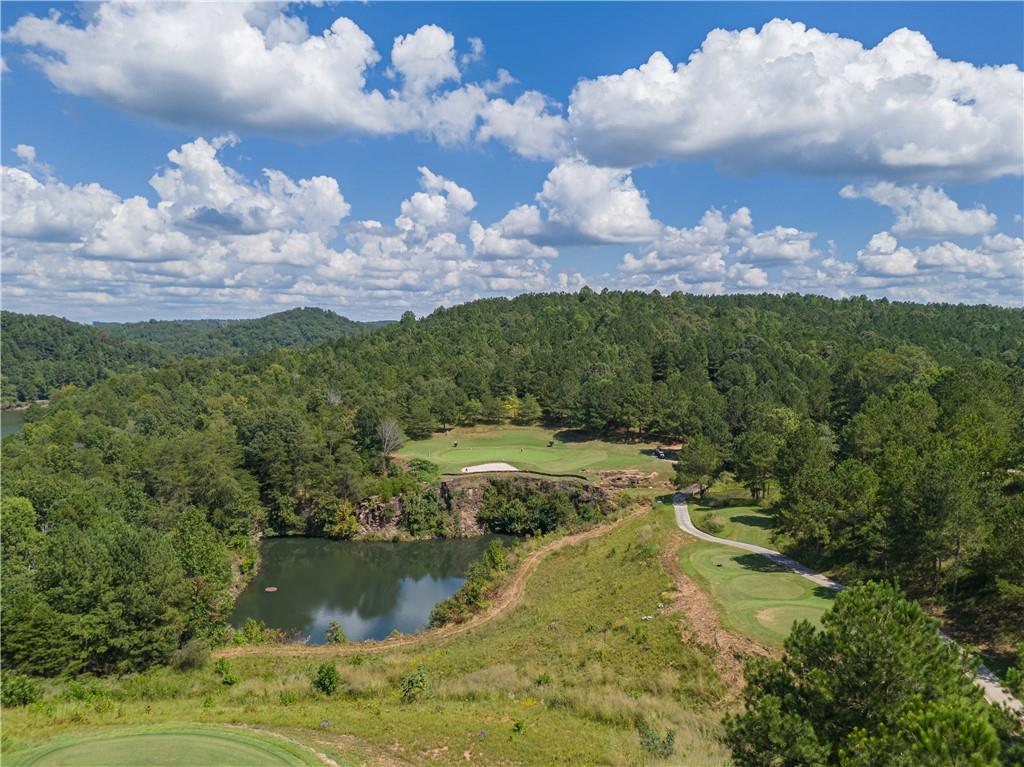 168 Southern Trace Property Photo 6