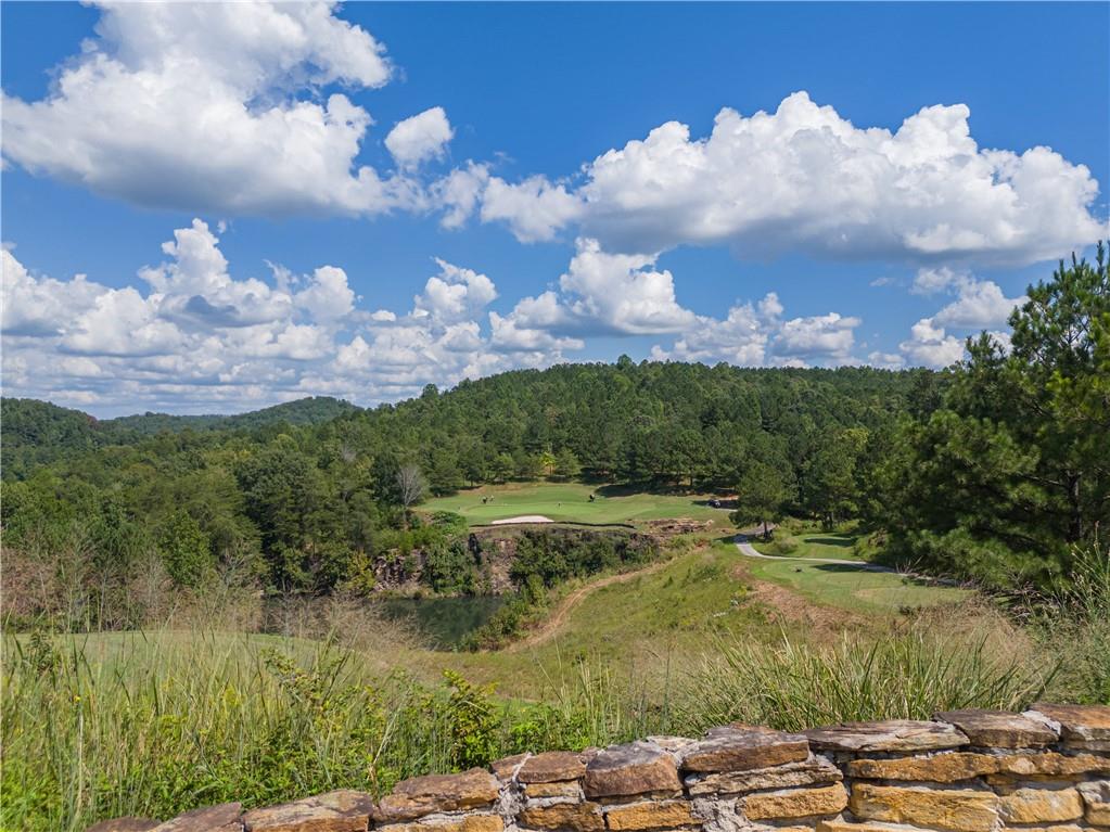 168 Southern Trace Property Photo 7