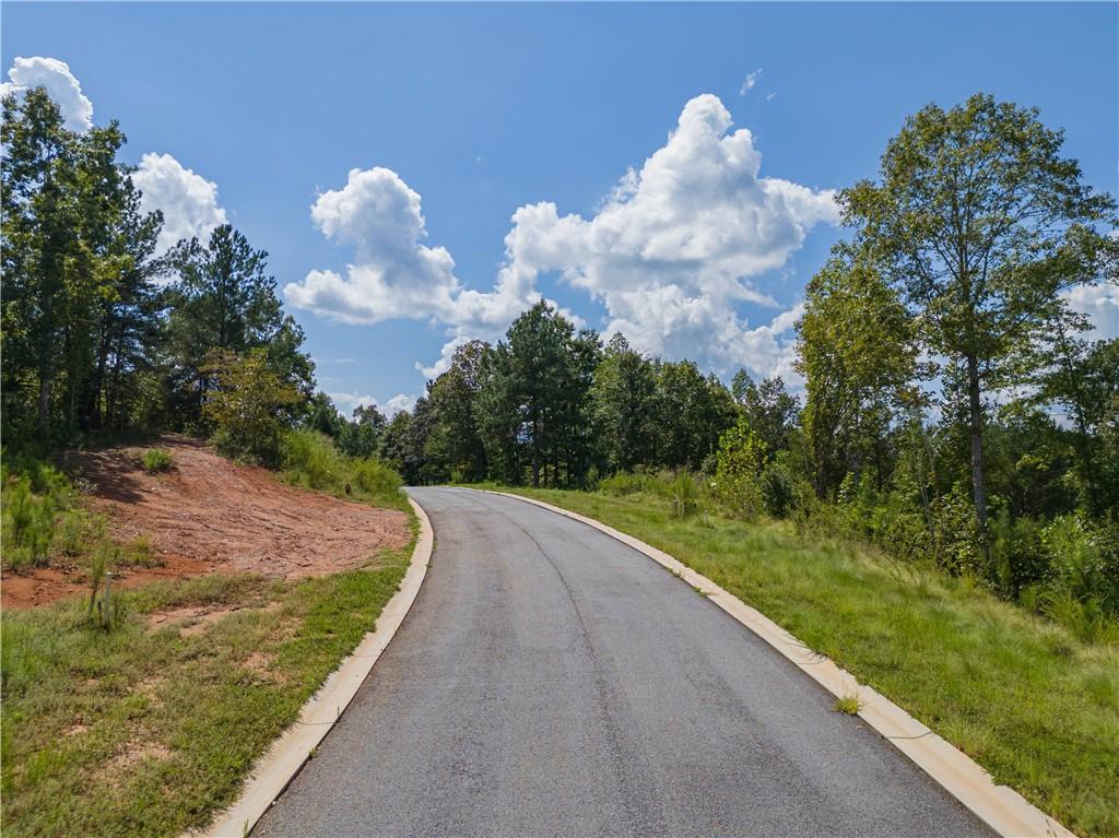 168 Southern Trace Property Photo 12