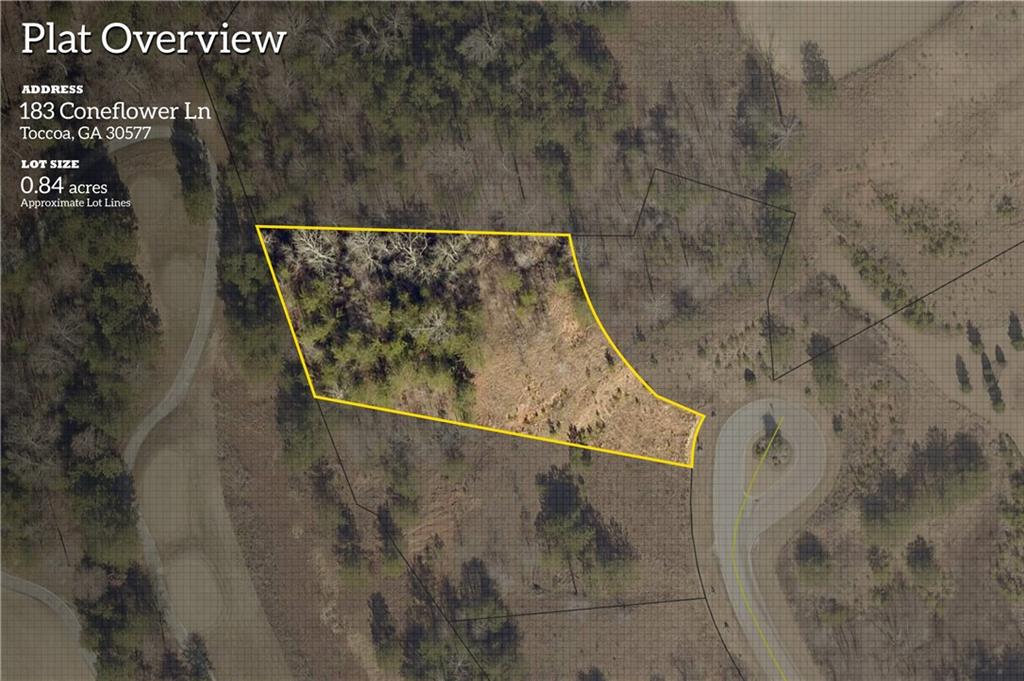 183 Coneflower Lane Property Photo 3