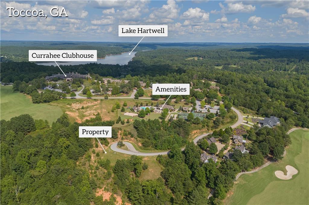 183 Coneflower Lane Property Photo 4